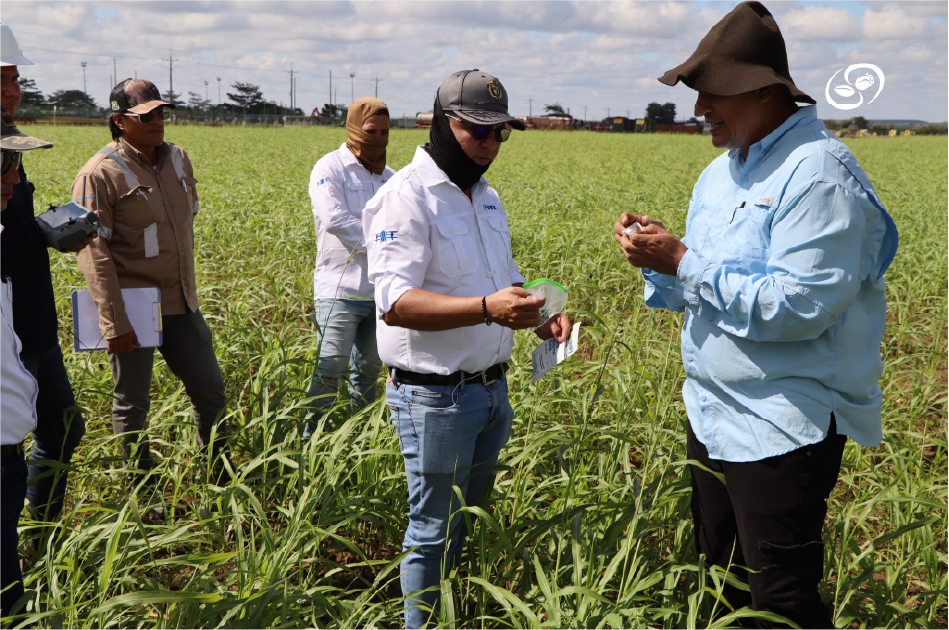 Aliados Empresariales