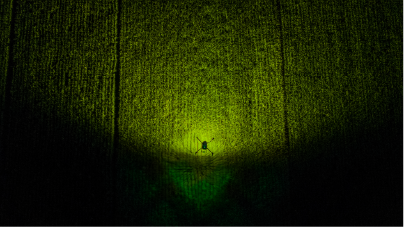 No pista de aterrizaje