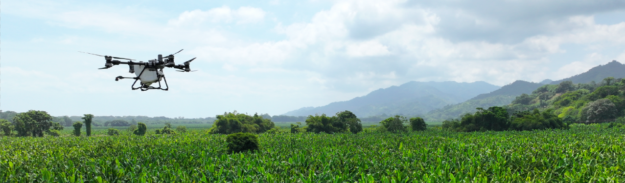 Contacta con Bachué
